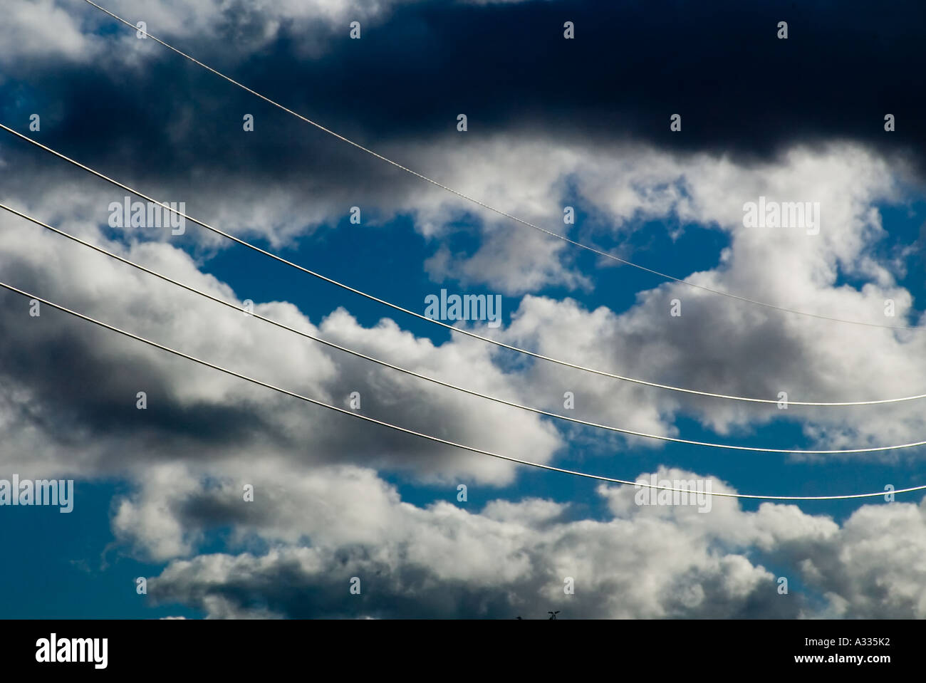 Sunlit telephone wires frame clouds in the Arizona desert USA Stock Photo