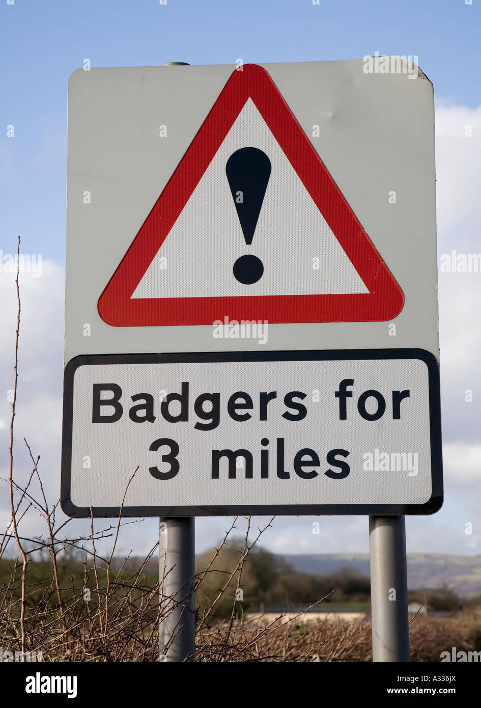 Badgers for 3 miles road sign Abergavenny Wales UK Stock Photo Alamy