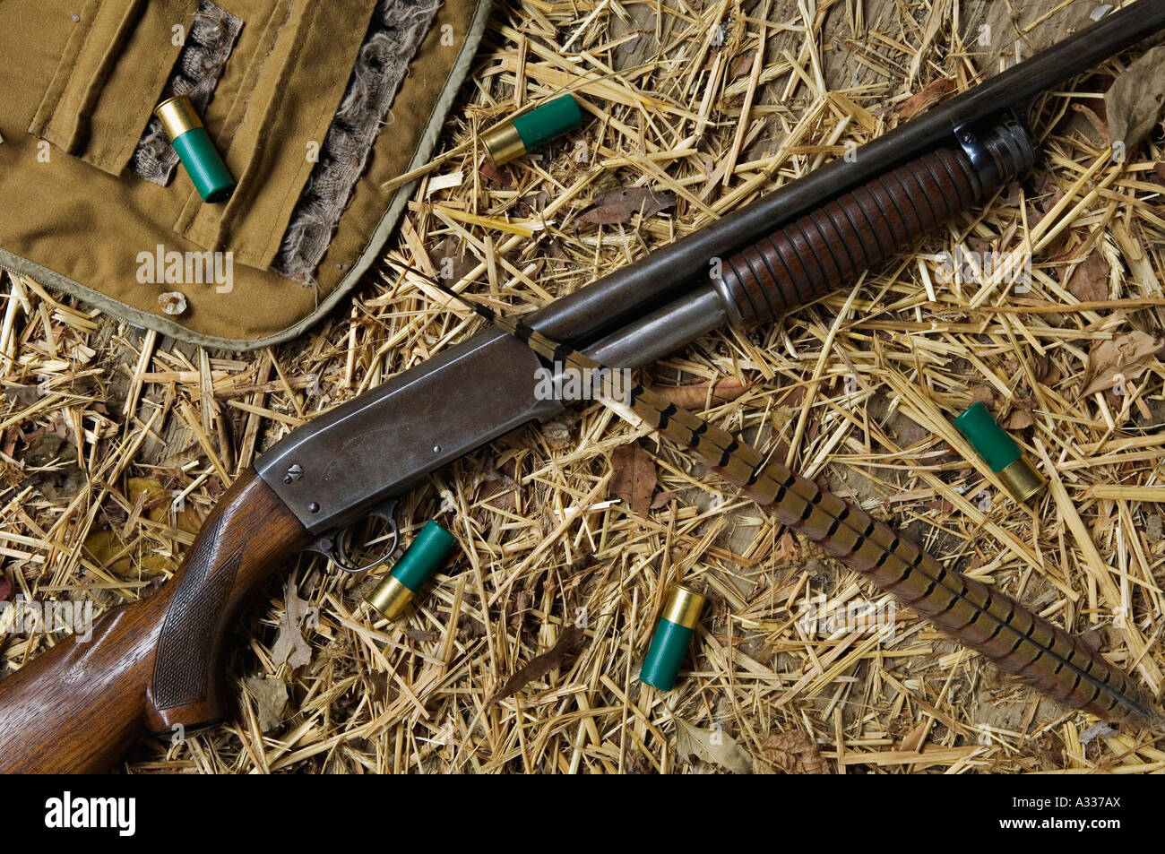 Old Ithaca Model 37 Featherweight 12 Gauge Pump Shotgun Laying on Wooden Straw Covered Floor along with Pheasant Tail Feather Ca Stock Photo