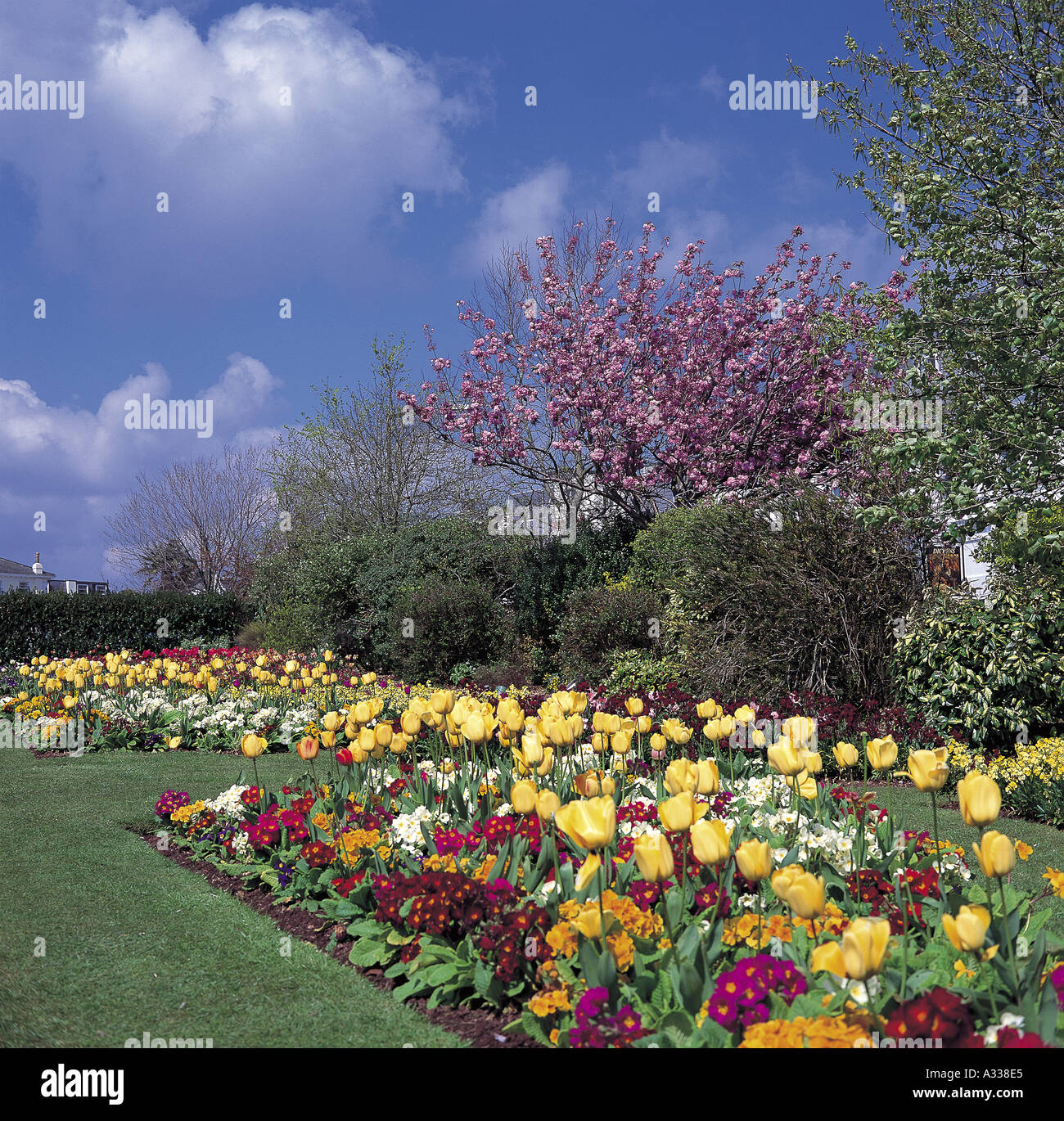 Torre abbey gardens hires stock photography and images Alamy