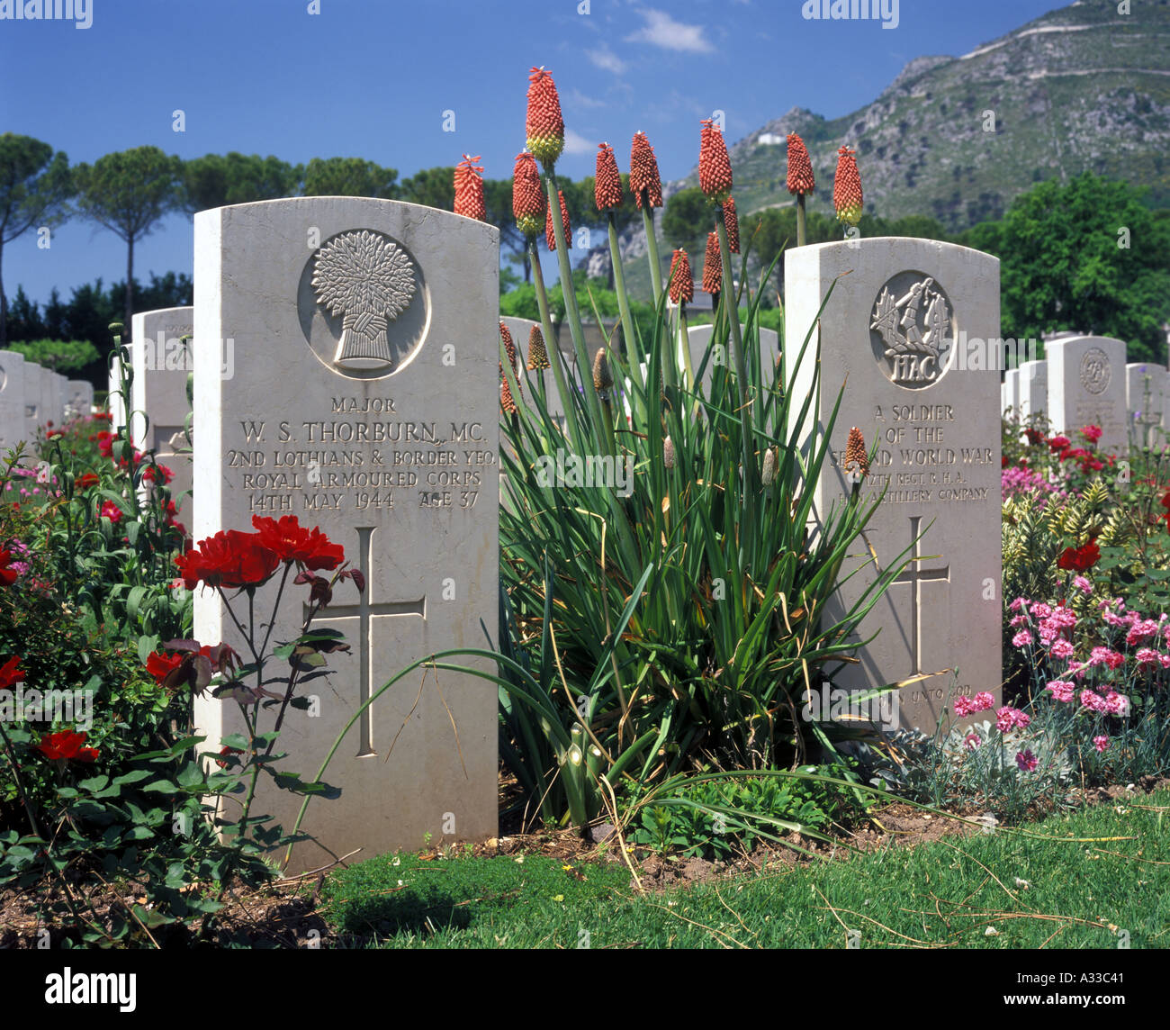 Commonwealth War Graves with flowers in summer, Monte Cassino Italy Stock Photo