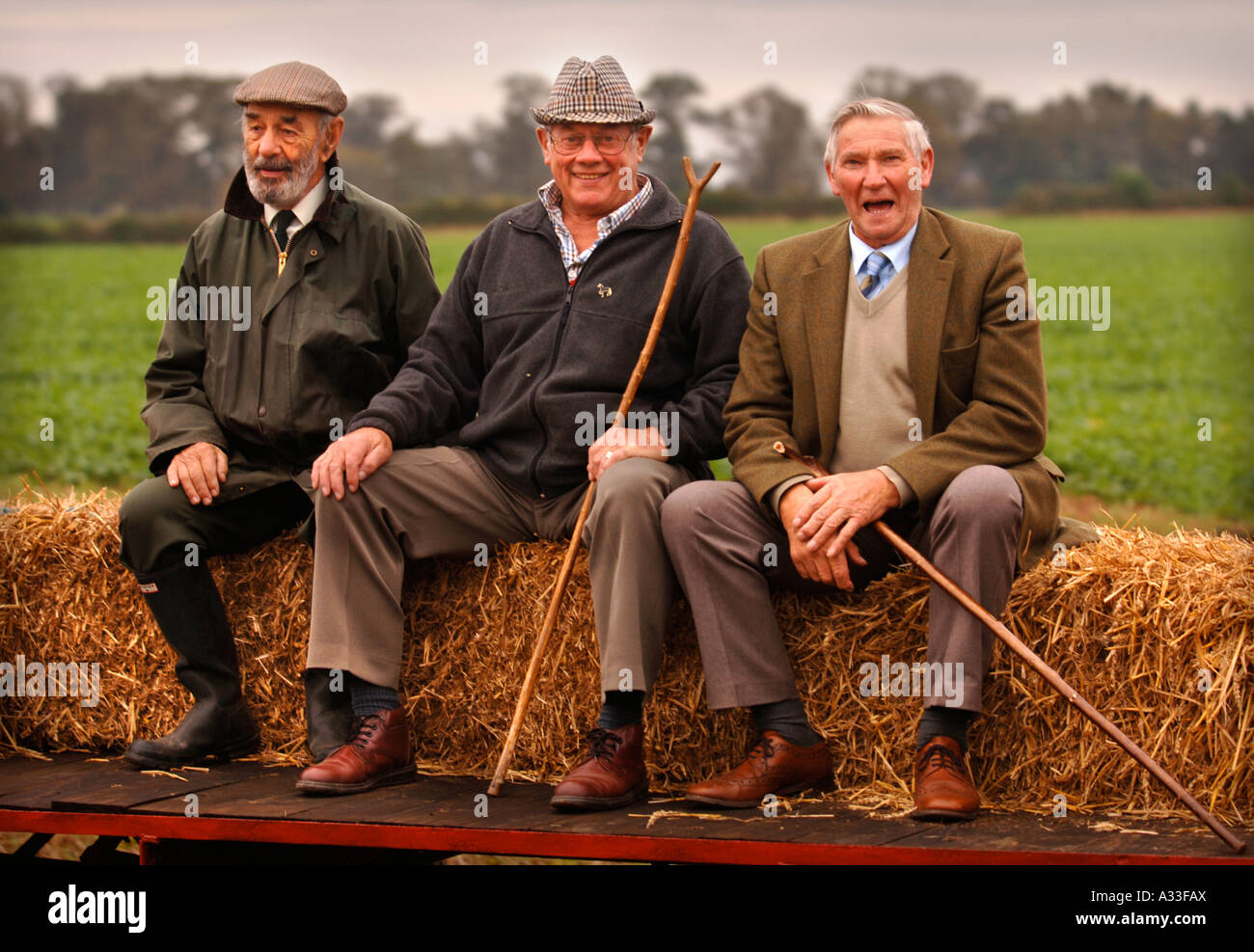 THREE RETIRED GENTLEMEN ENJOY A RIDE ON A HORSE DRAWN CART AT THE NATIONAL HEDGELAYING CHAMPIONSHIPS Stock Photo