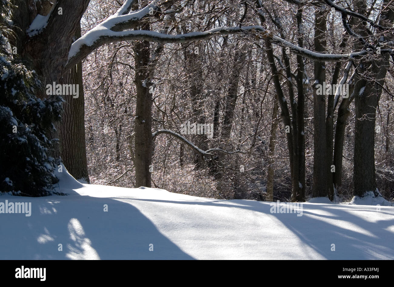 Brilliant ice refractions and reflections Stock Photo