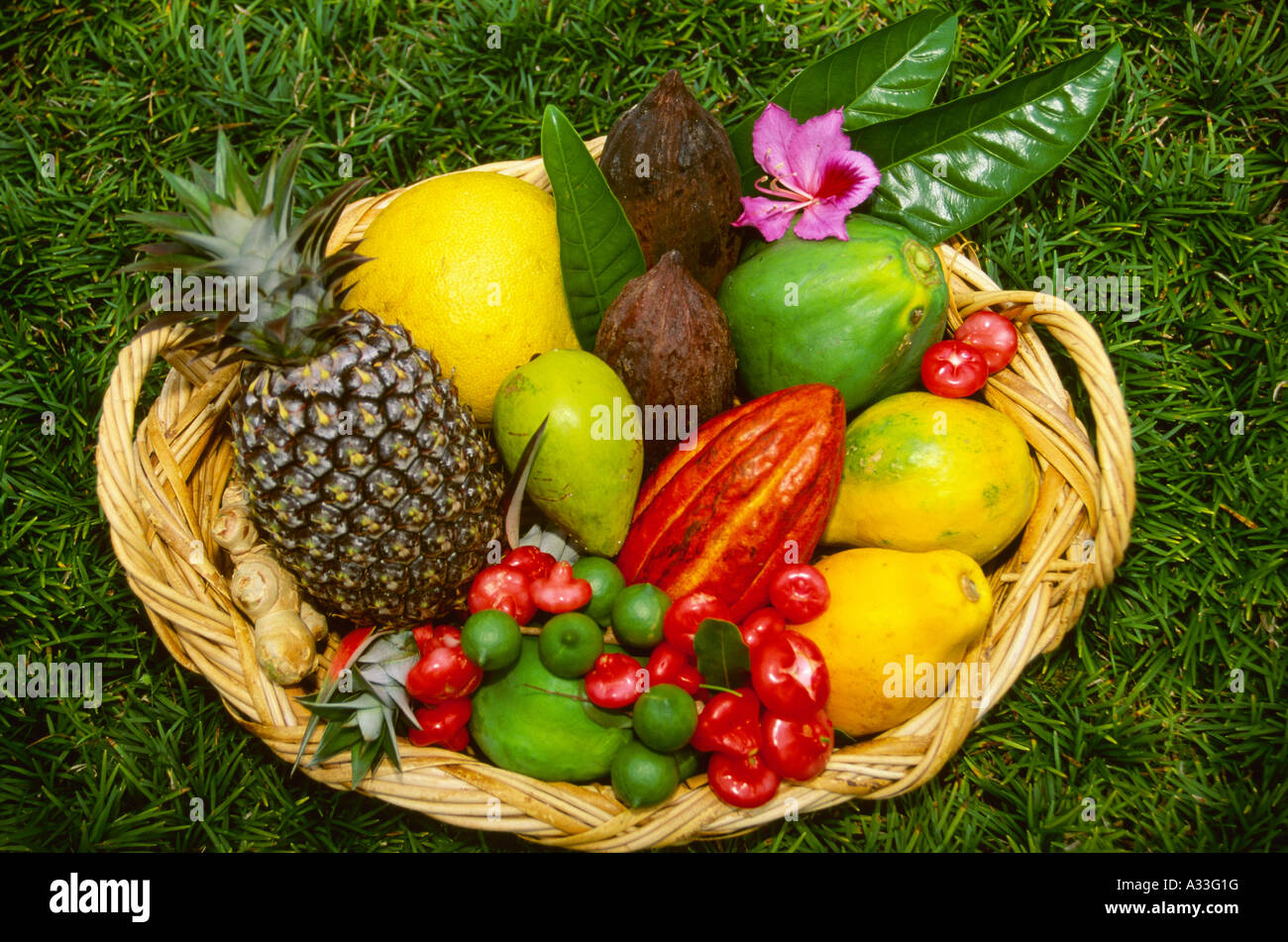 Agriculture Tropical fruit in basket / Hawaii, USA Stock Photo Alamy