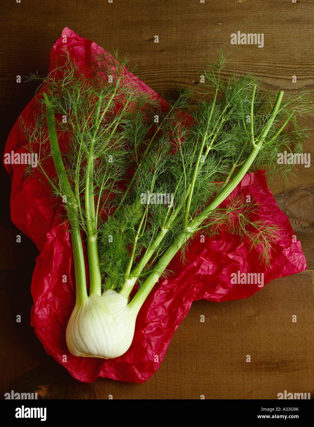 Agriculture - Fennel plant and bulb, also known as Sweet Anise, on tissue  paper, in studio Stock Photo - Alamy