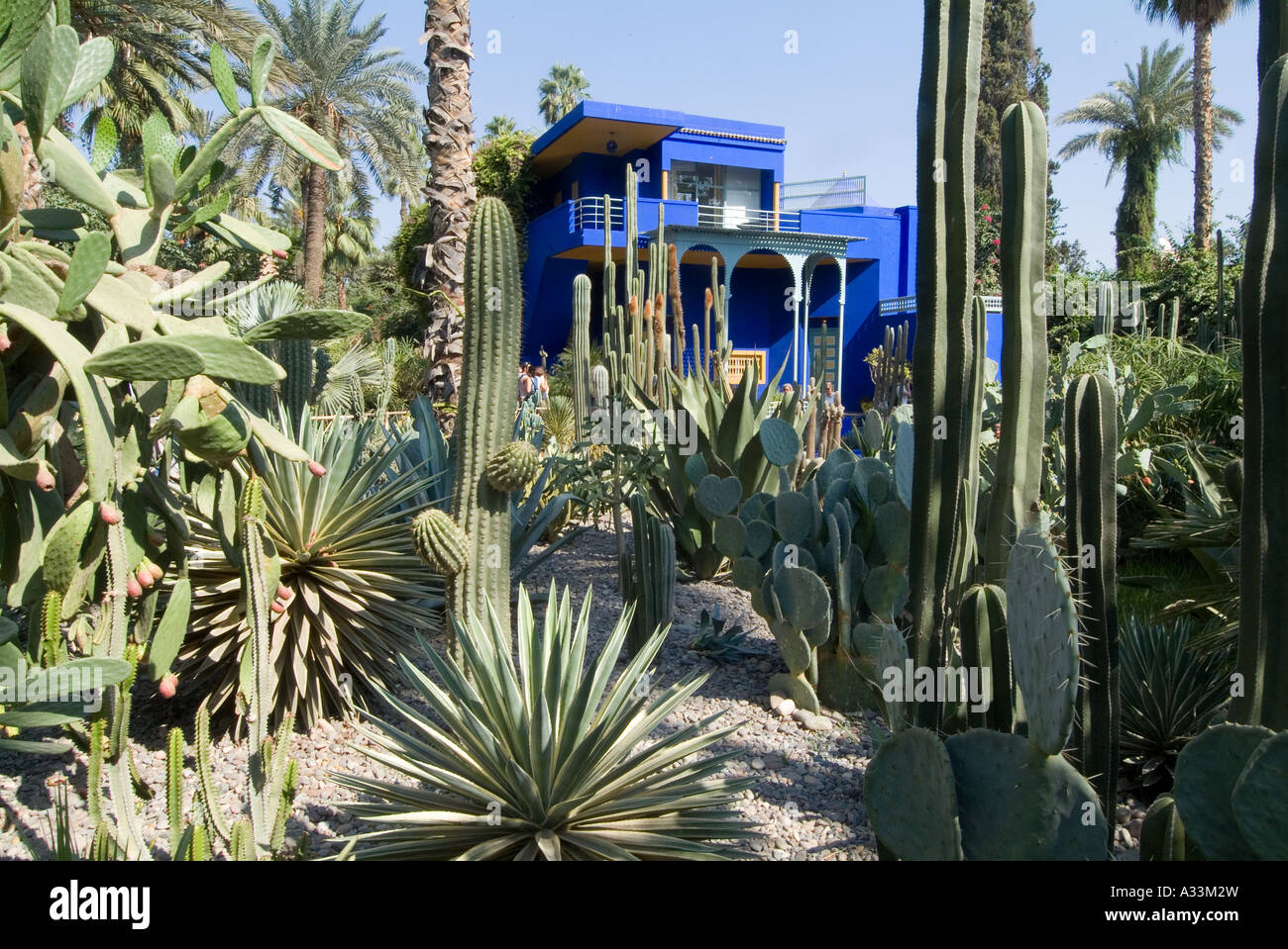 Majorelle
