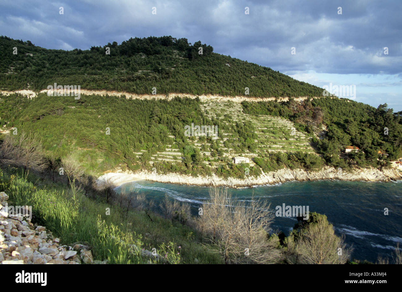 The bays and inlets of Korcula, Croatia Stock Photo - Alamy