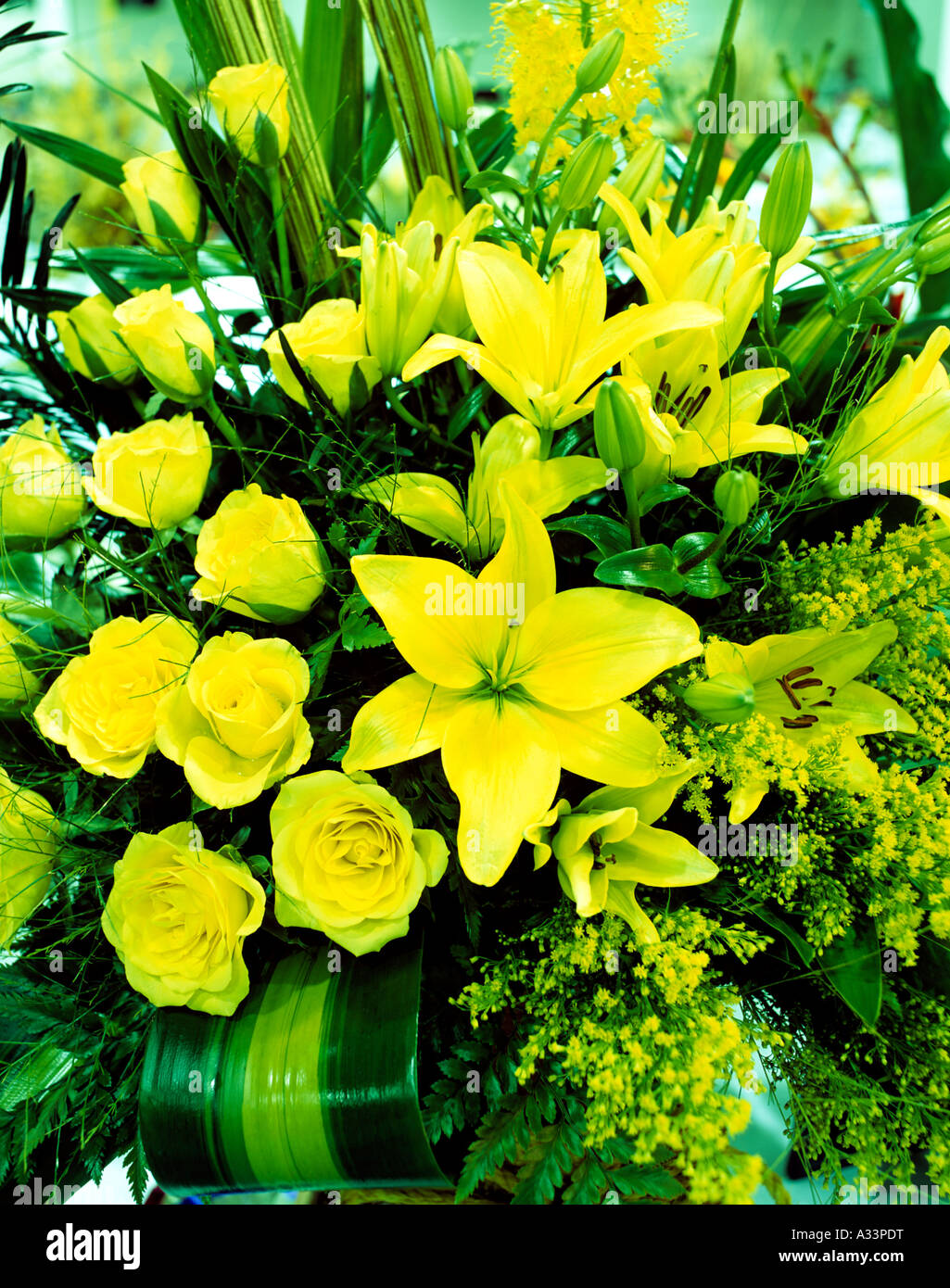 EXHIBITION OF FLOWERS AT INTERNATIONAL CONVENTION CENTRE IN DOHA QATAR Stock Photo