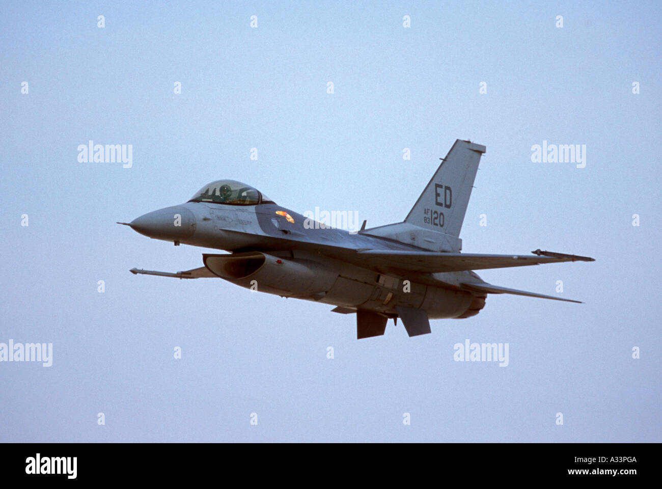 Falcon flying services hi-res stock photography and images - Alamy
