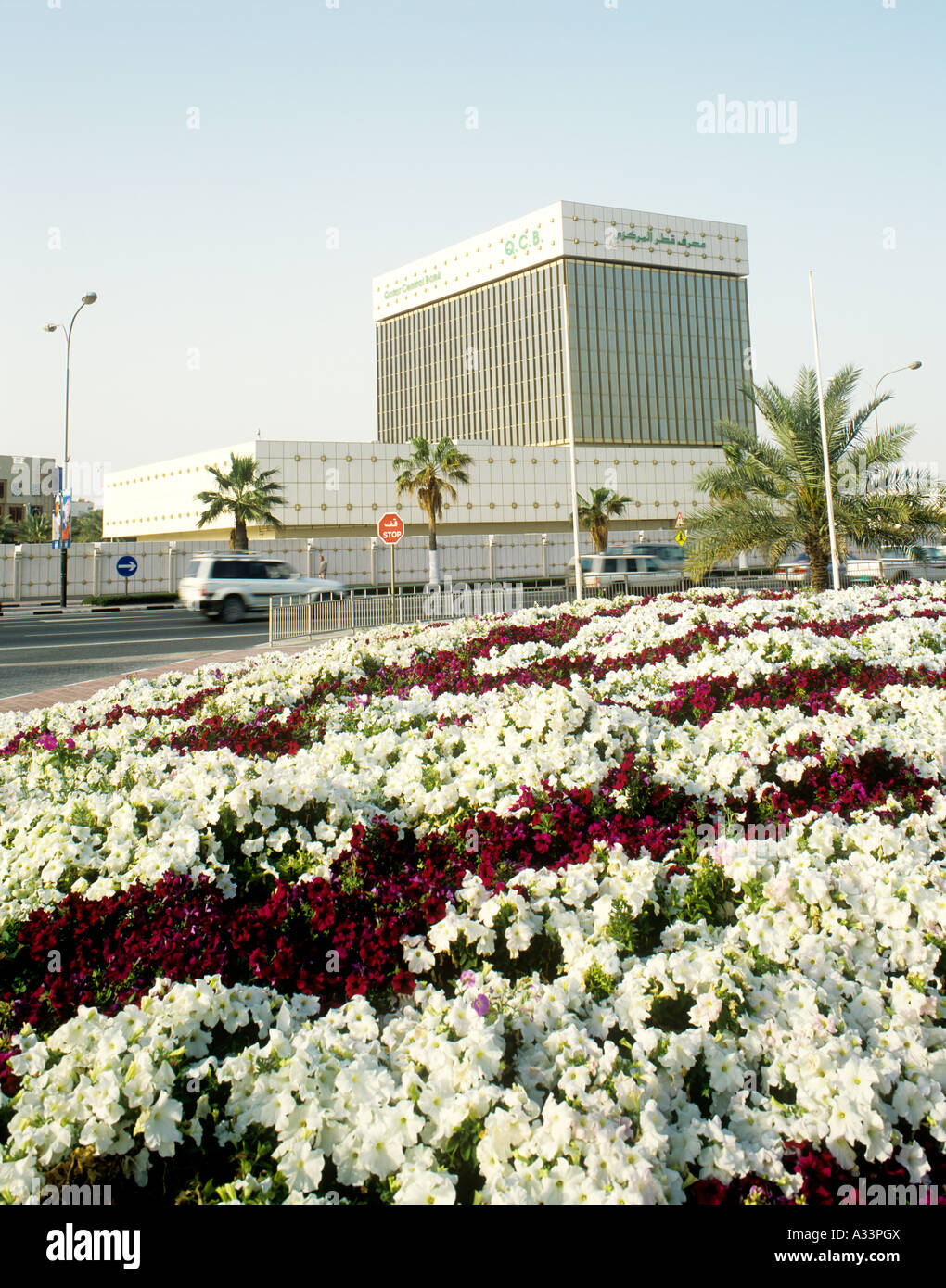 A GARDEN BY THE ROADSIDE IN DOHA QATAR Stock Photo Alamy