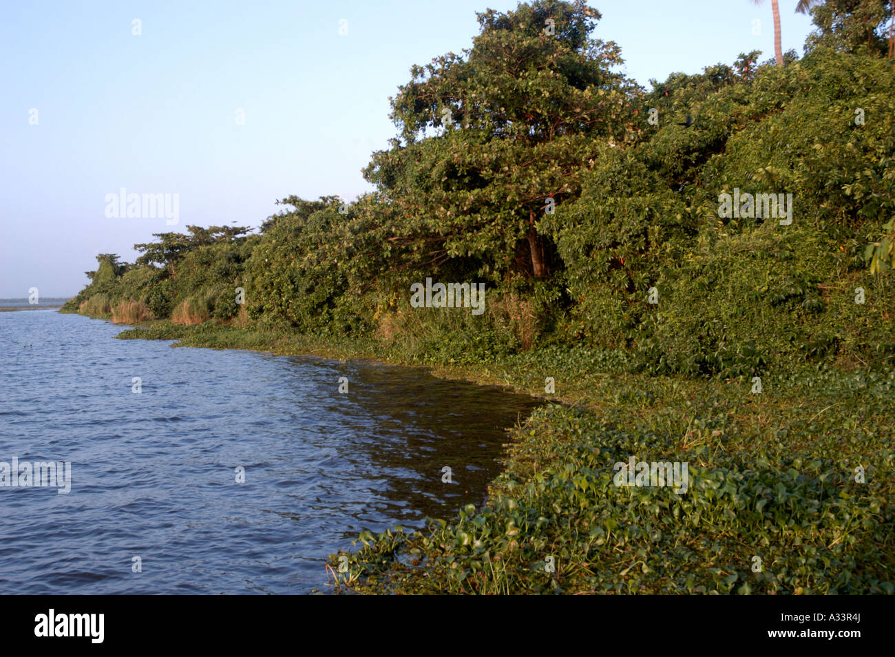 PATHIRAMANAL ISLAND IN VEMBANAD LAKE KUTTANAD ALAPPUZHA Stock Photo