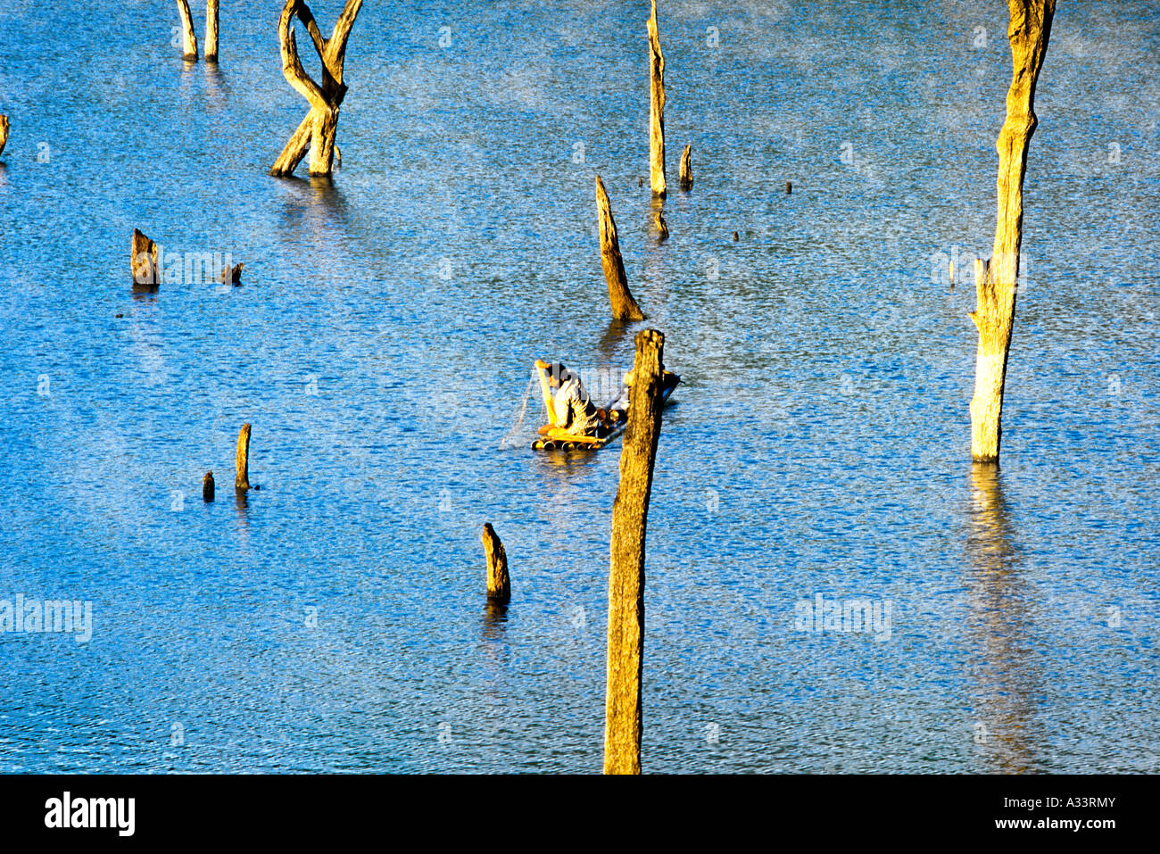 PERIYAR TIGER RESERVE THEKKADY KERALA Stock Photo - Alamy