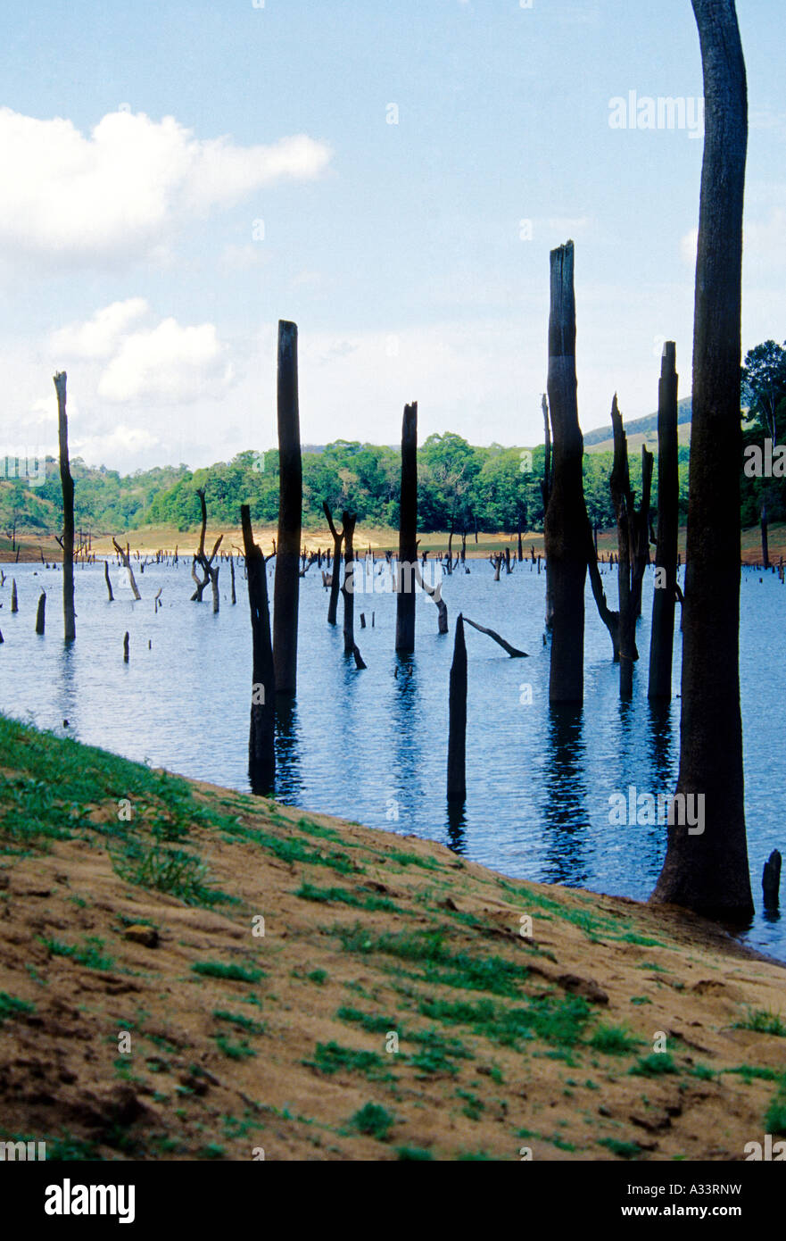 PERIYAR TIGER RESERVE THEKKADY KERALA Stock Photo - Alamy