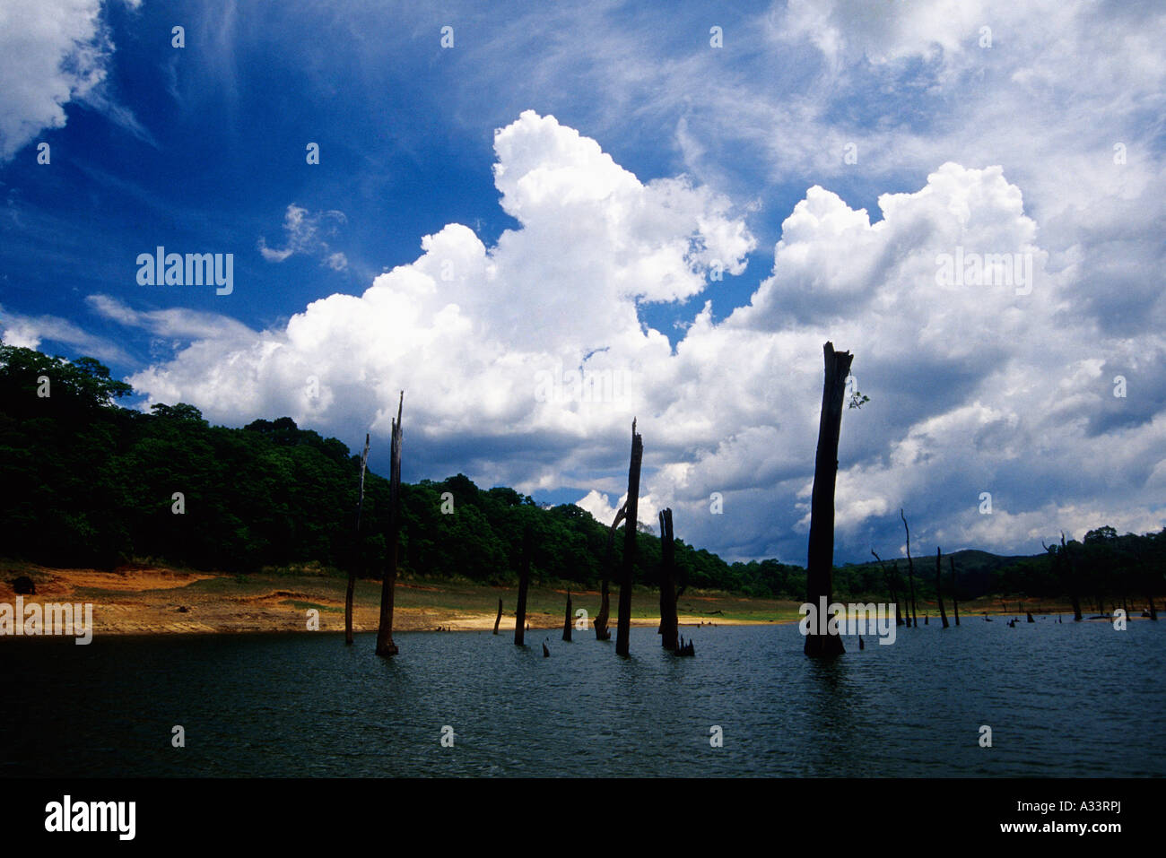 PERIYAR TIGER RESERVE THEKKADY KERALA Stock Photo - Alamy