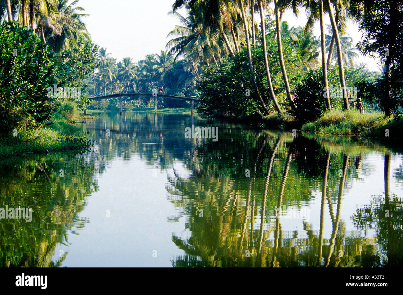 THE BACKWATERS OF KUMARAKOM IN KOTTAYAM KERALA Stock Photo Alamy
