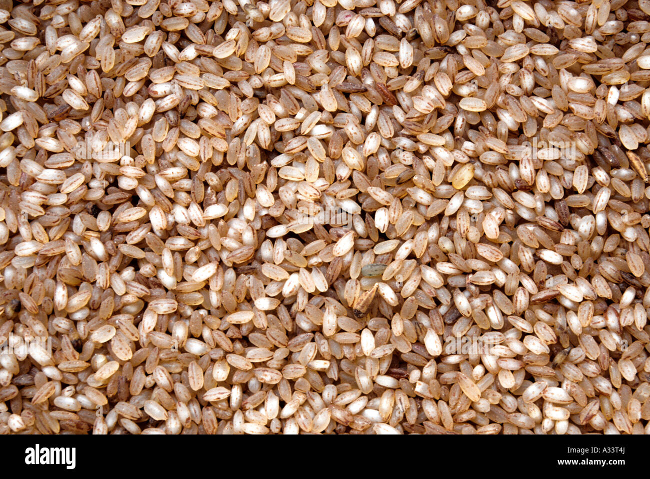 PAR BOILED RICE KERALA Stock Photo - Alamy