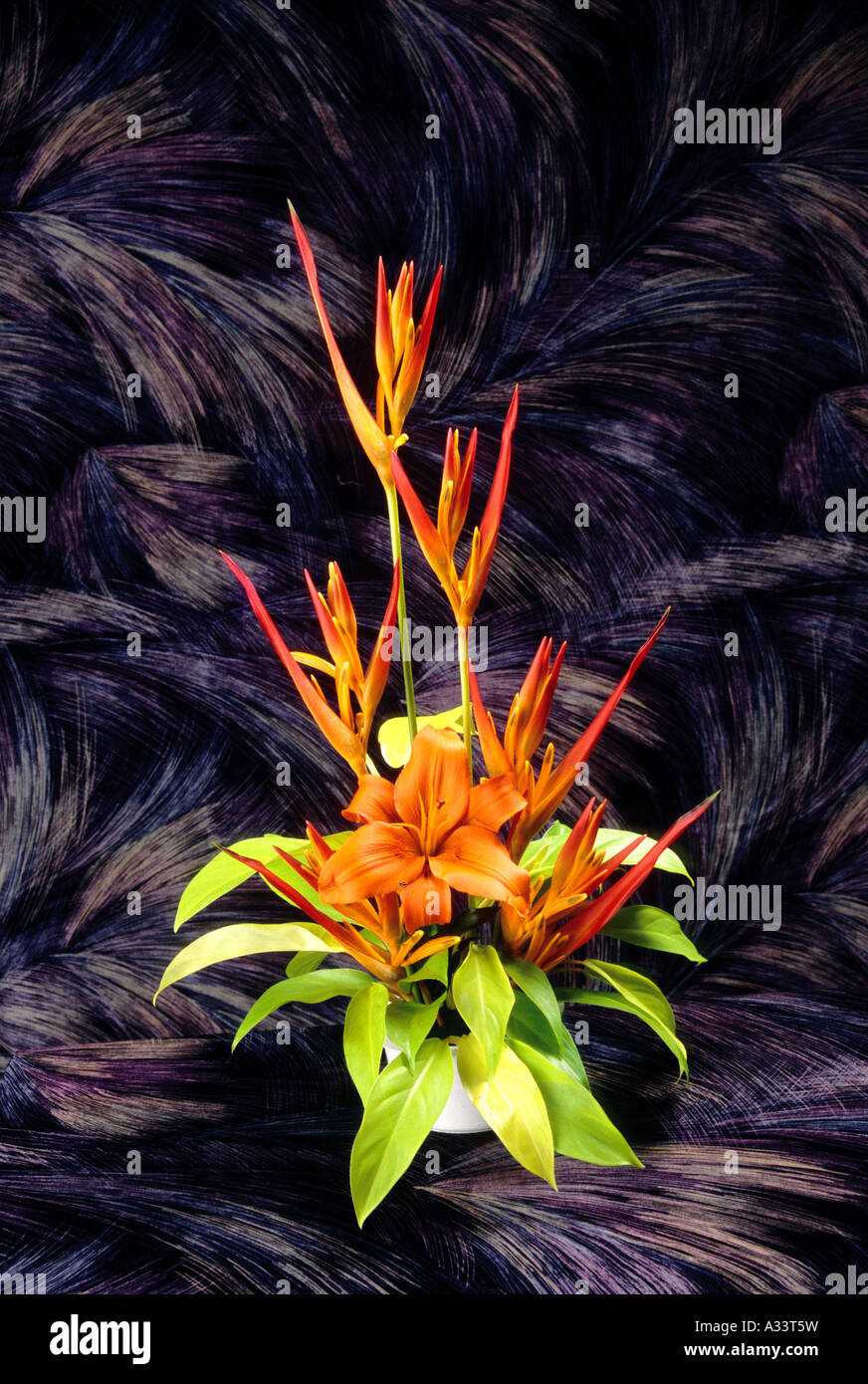 FLOWER ARRANGEMENT USING ORCHIDS KERALA Stock Photo Alamy