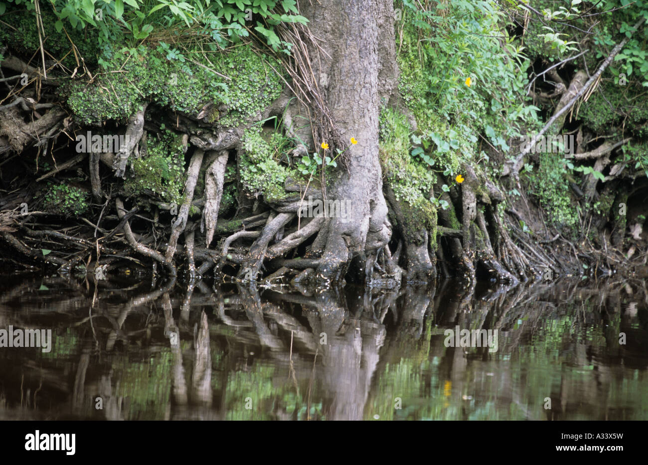 River bank flow hi-res stock photography and images - Alamy