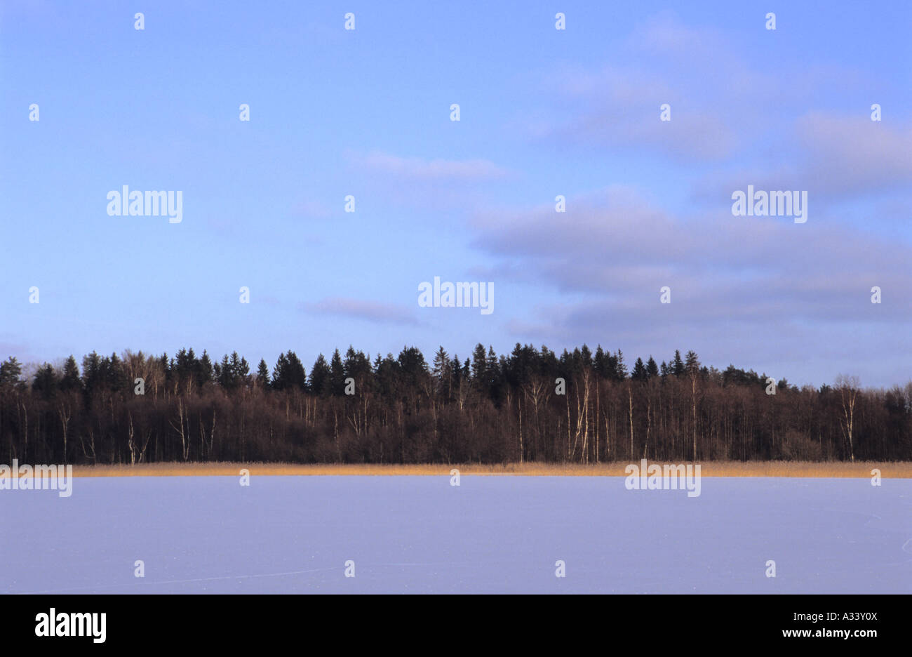 Scenic of wintery landscape Stock Photo