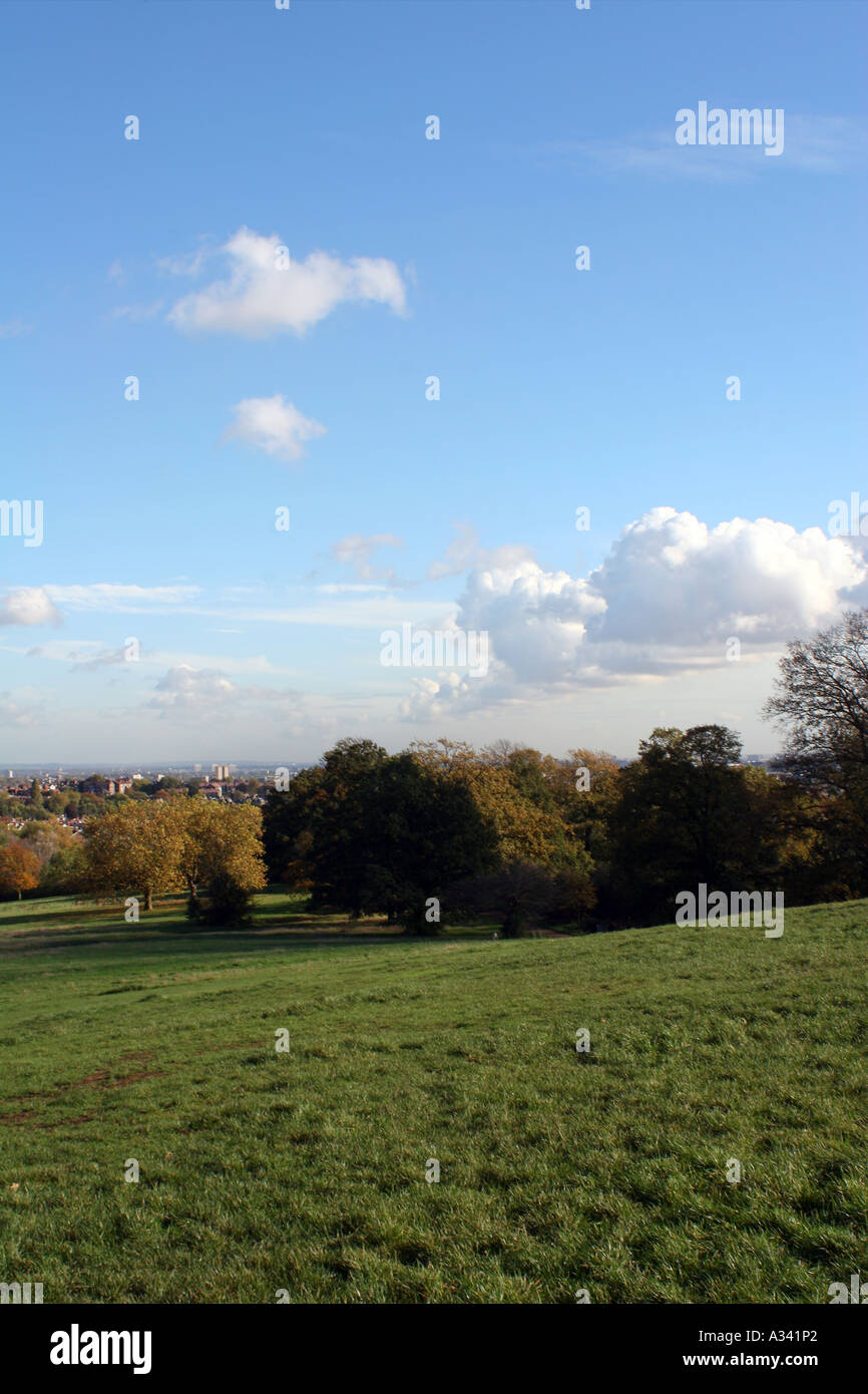 view from Parliament Hill. Hampstead Heath, London Stock Photo Alamy