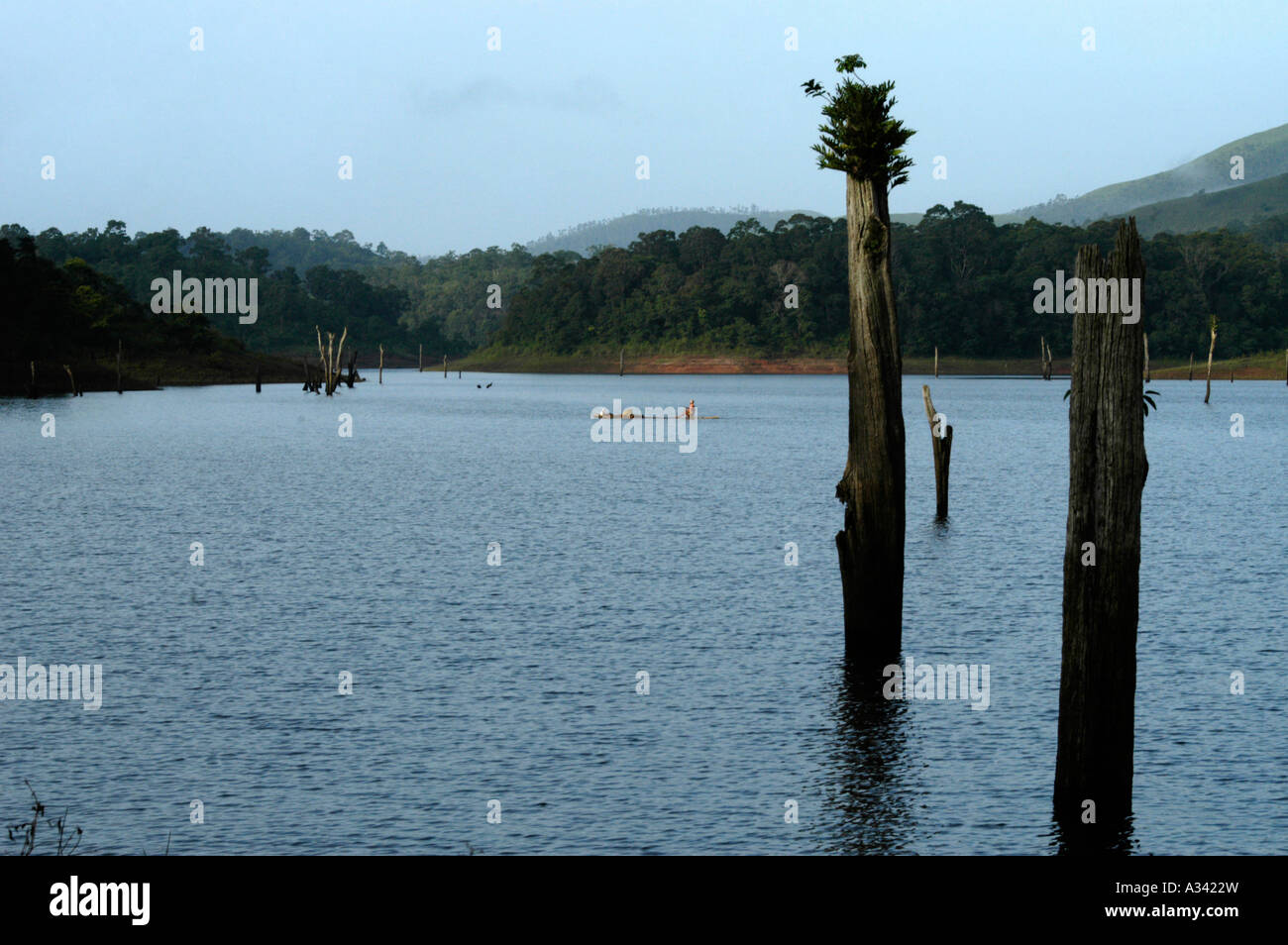 LANDSCAPE OF PERIYAR TIGER RESERVE THEKKADY Stock Photo - Alamy