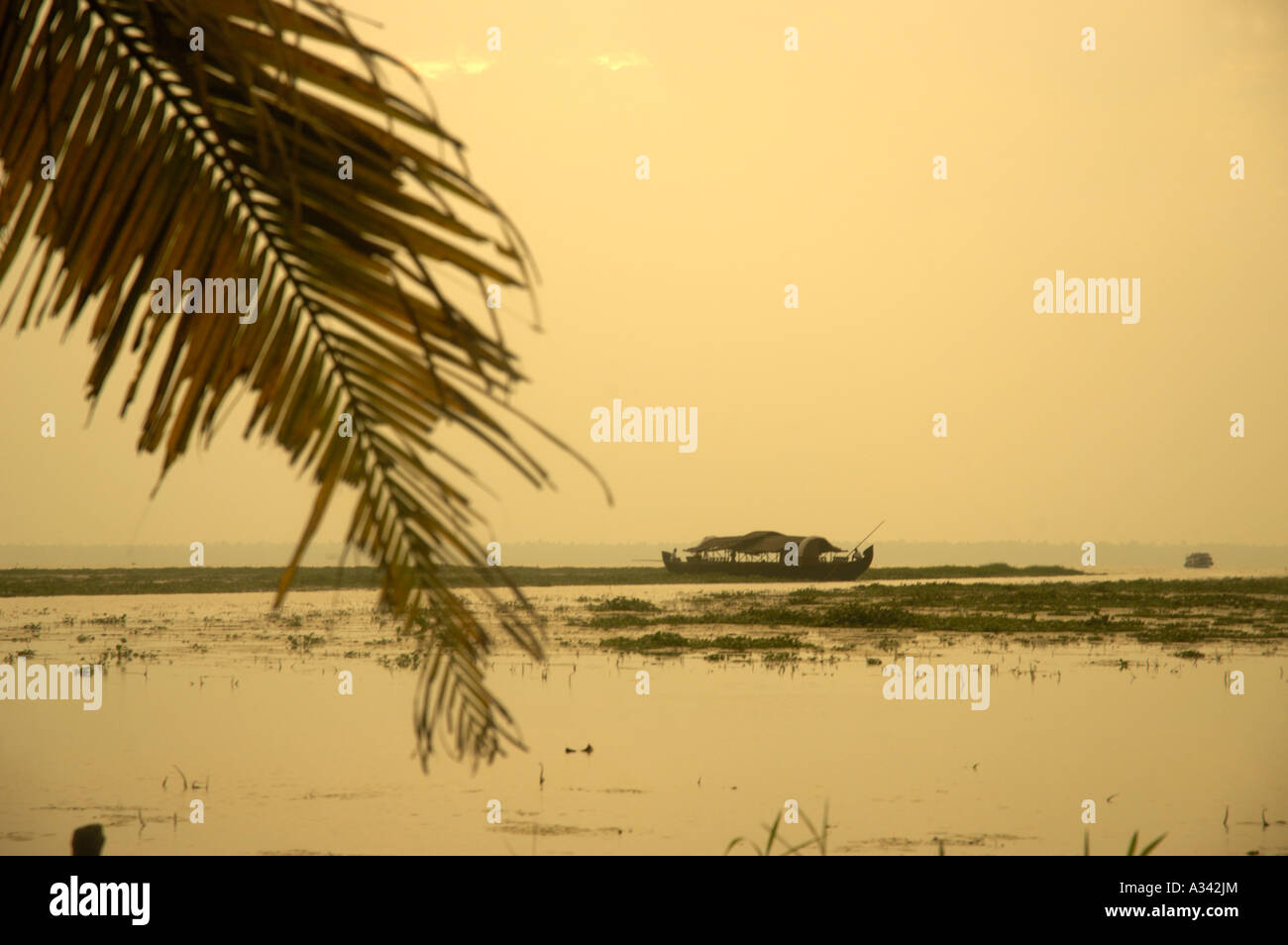 VIEW OF VEMBANAD LAKE FROM COCONUT LAGOON KUMARAKOM Stock Photo