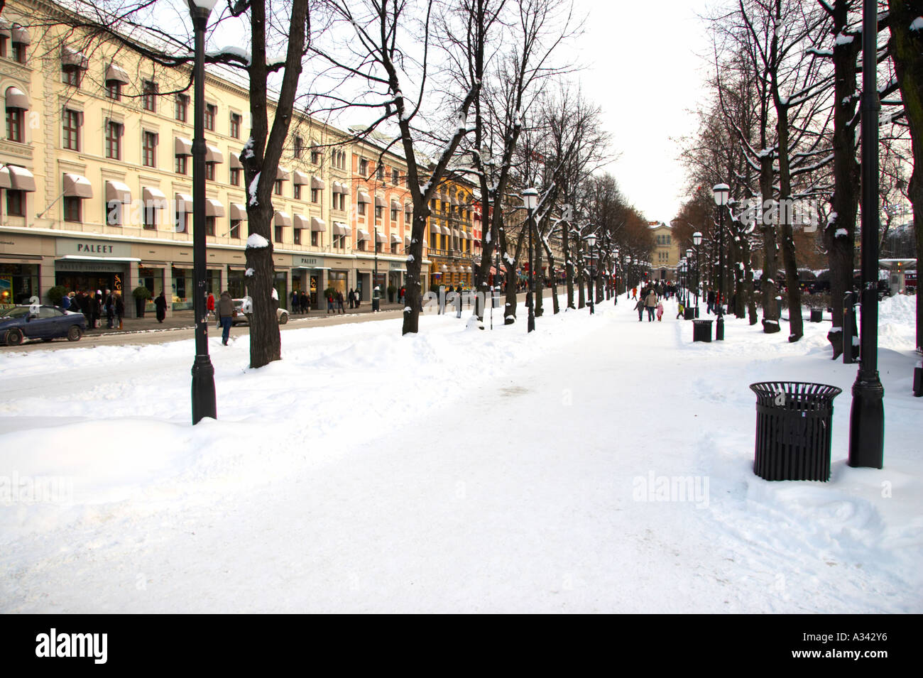 Norway, Oslo, Oslo City. A fresh snowfall transforms the tree lined