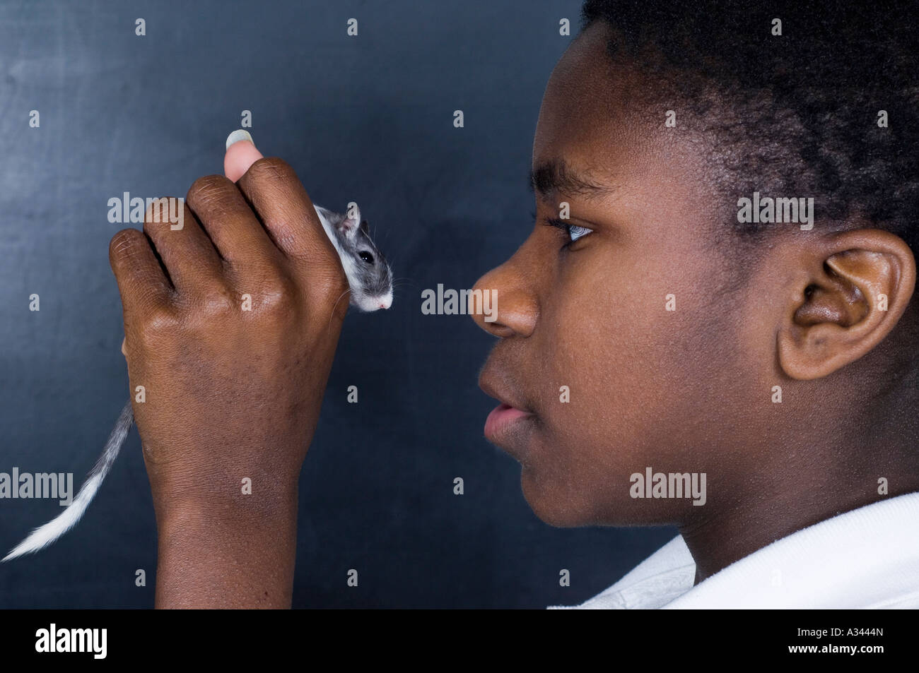 12-13 years old boy holding gerbil in his hand close to his face Stock Photo