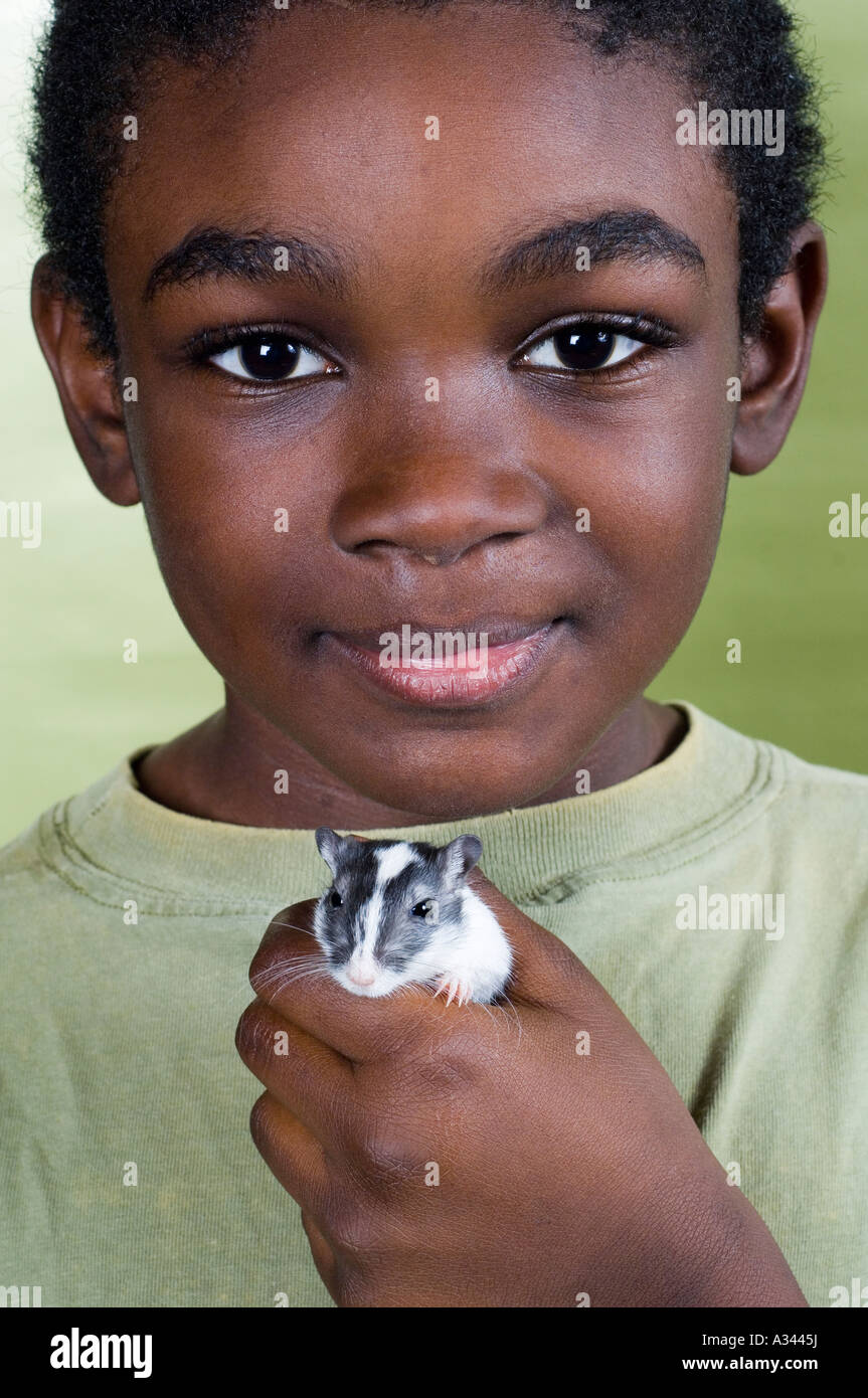 Close up of an African American boy holding a gerbil Stock Photo