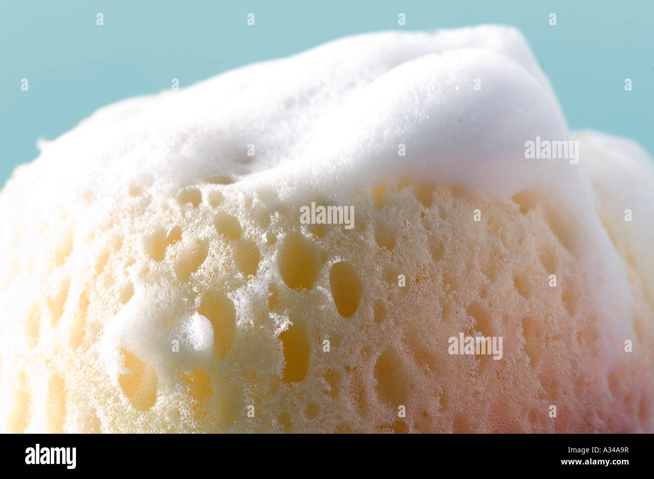 Sponge covered with soap lather close up Stock Photo - Alamy