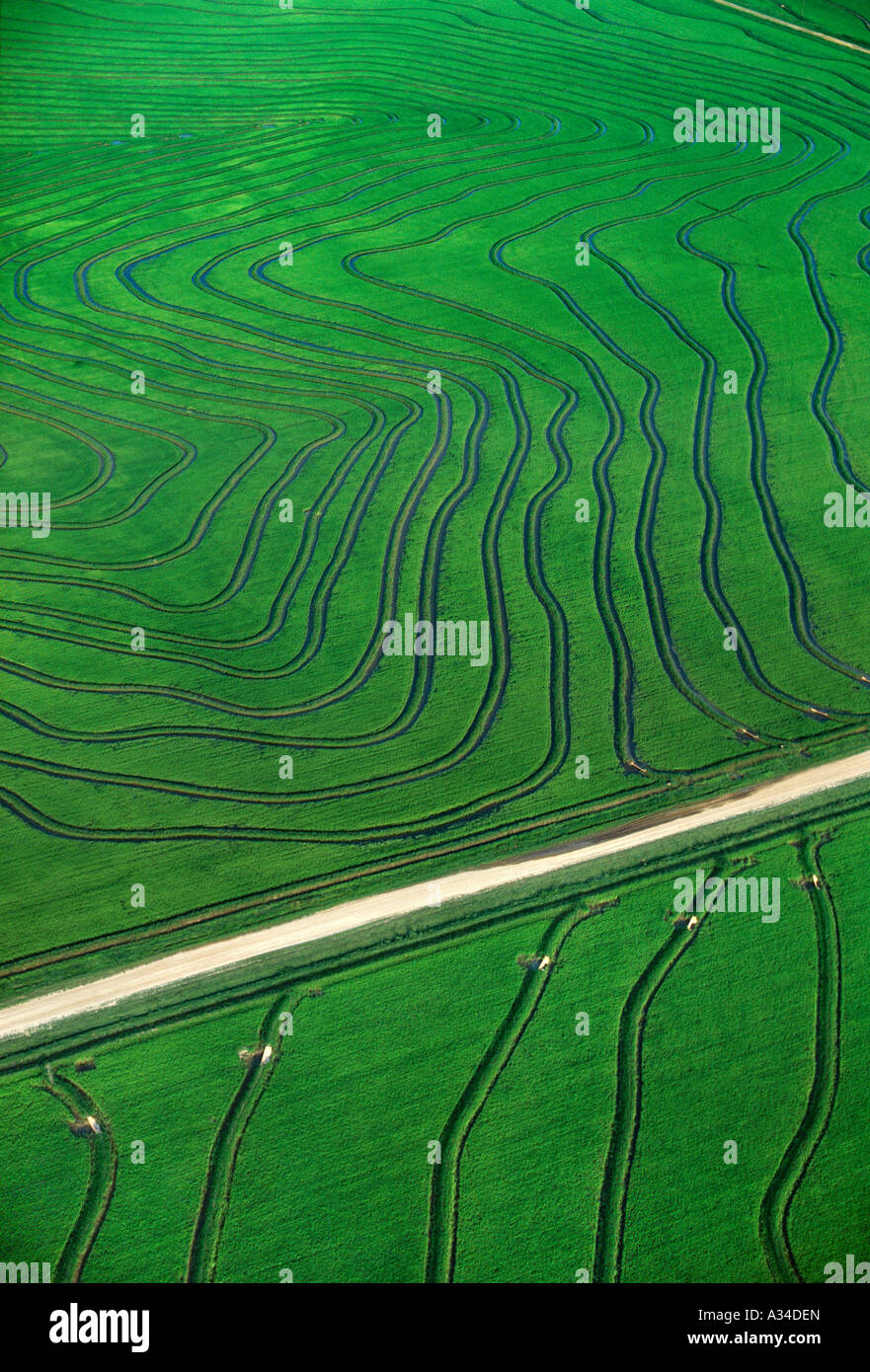 Agriculture / Aerial view of rice fields / Arkansas, USA Stock Photo ...