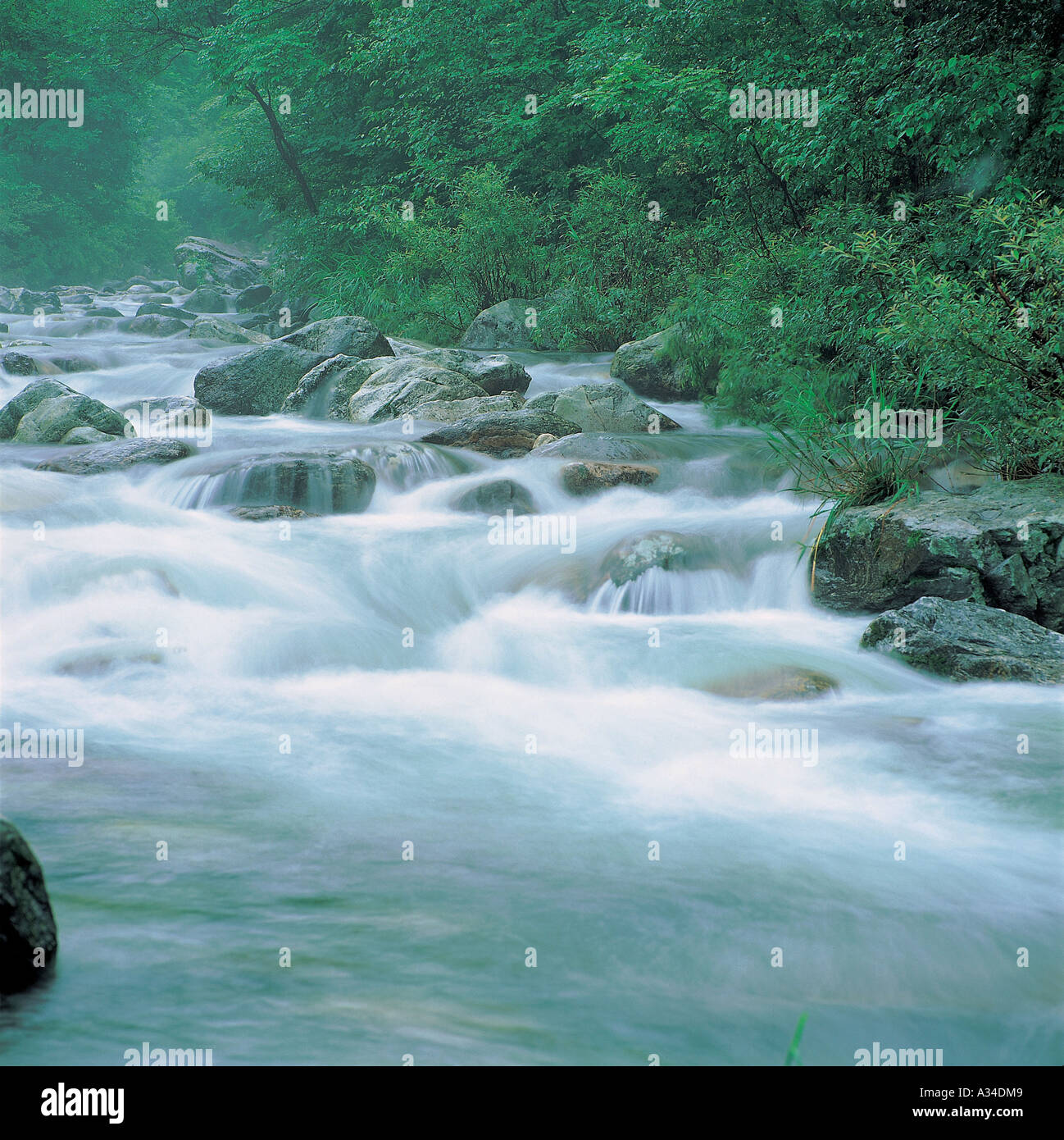 Valley brook hi-res stock photography and images - Alamy