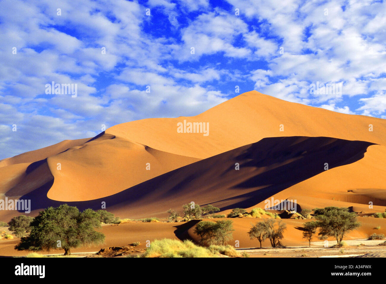 dune scenery near Sossusvlei, Namibia, Sossusvlei, Namib Stock Photo