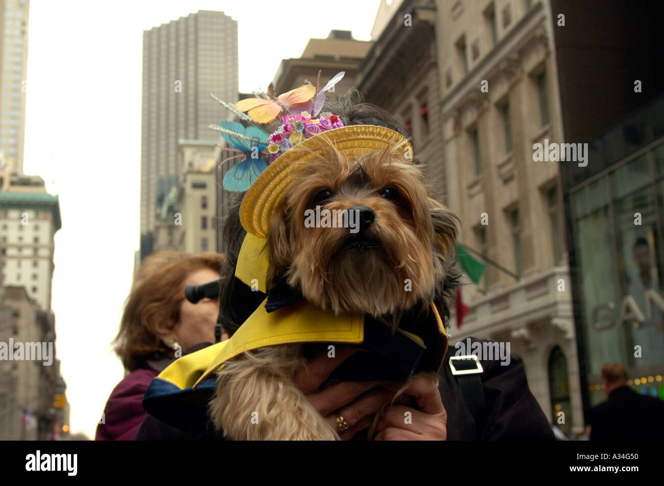 Timmy joins thousands on a gloomy Easter Sunday for the annual parade Tourists and New Yorkers came in their Sunday best clothing to gawk at the whimsical hats and outfits people wore Stock Photo