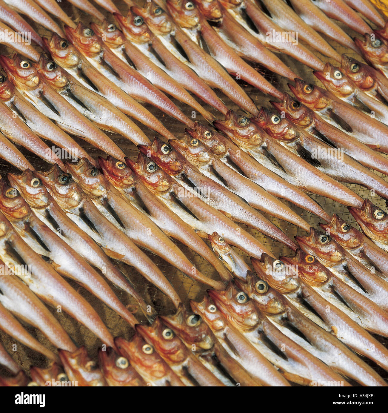 Pollack hi-res stock photography and images - Alamy