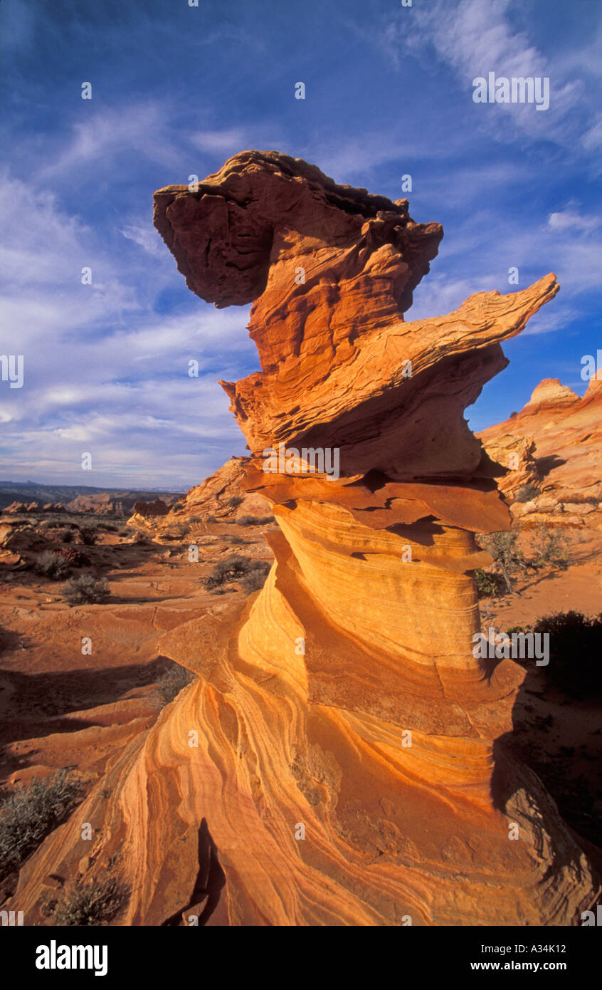 The Totem Pole in Coyote Butte south Vermillion cliffs wilderness Arizona USA Stock Photo