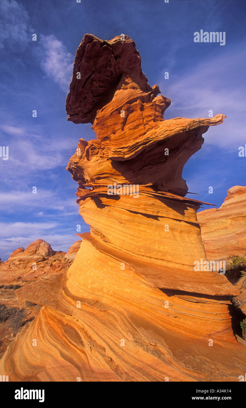 The Totem Pole in Coyote Butte south Vermillion cliffs wilderness Arizona USA Stock Photo