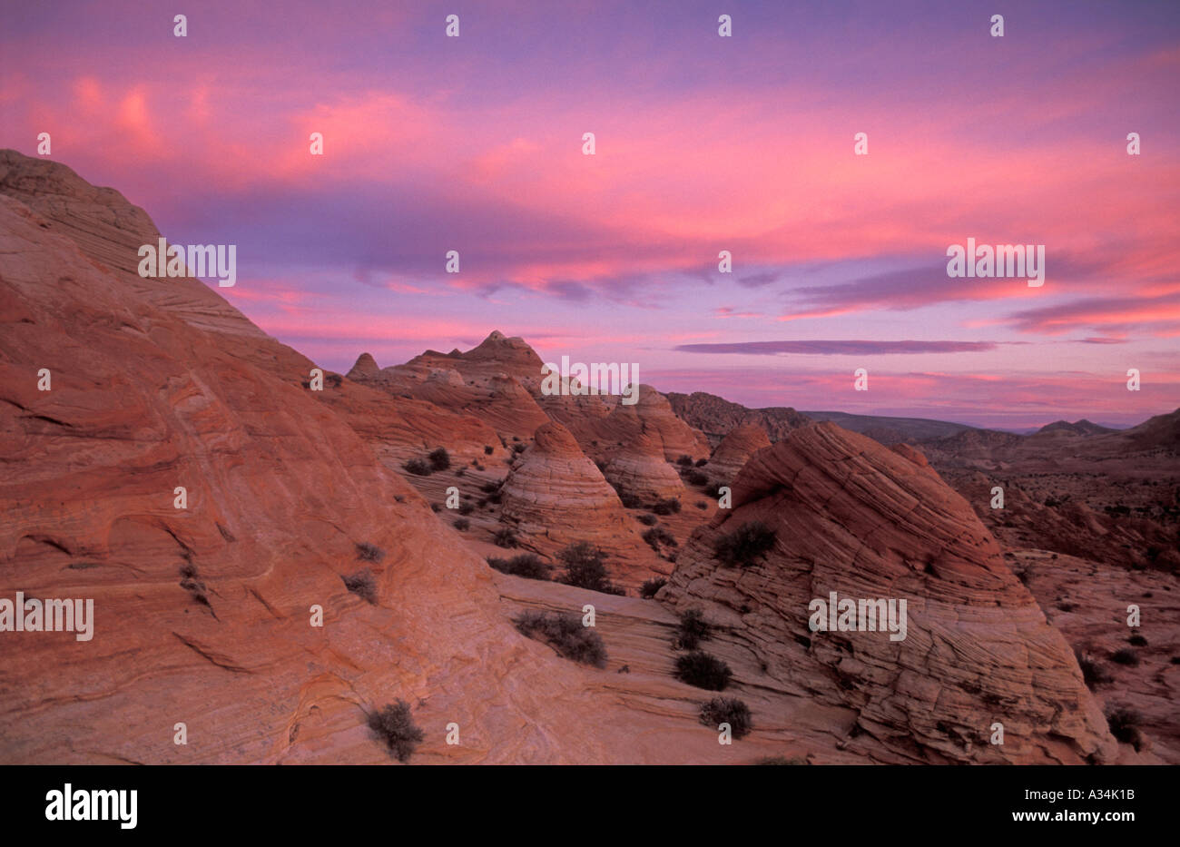 Pre dawn light on the petrified sand dunes of coyote butte north vermillion cliffs wilderness Utah USA Stock Photo