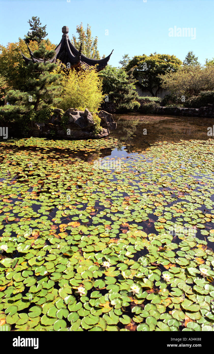 Dr Sun Yat Sen Classical Chinese Garden Vancouver Canada Stock Photo