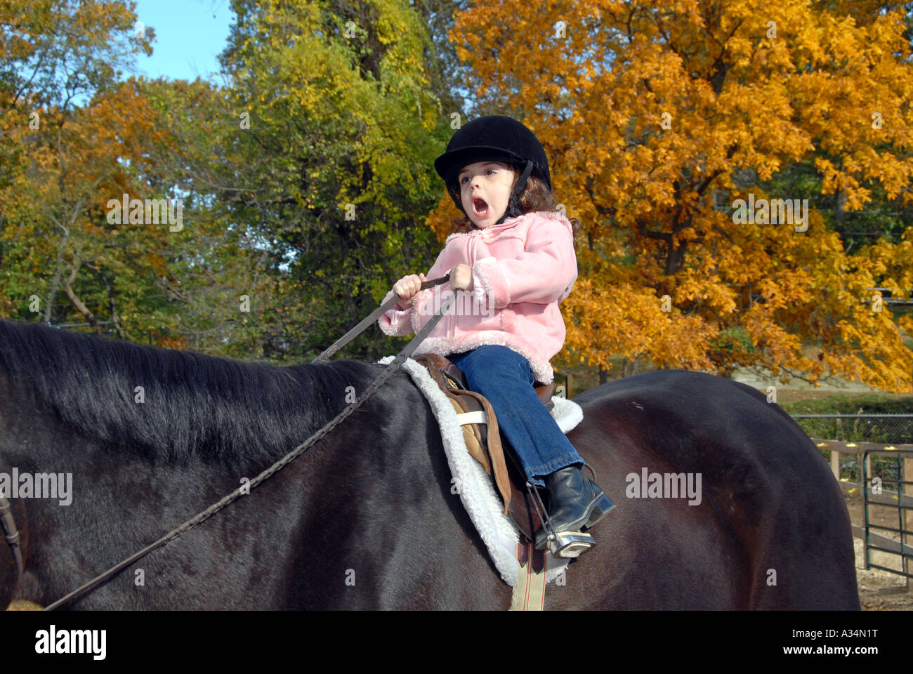Three year old girl riding on a horse Stanhope Stables Huntington NY