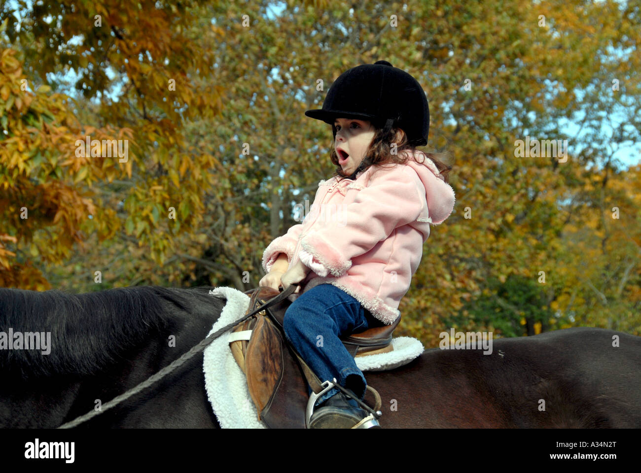 Three year old girl riding on a horse Stanhope Stables Huntington NY