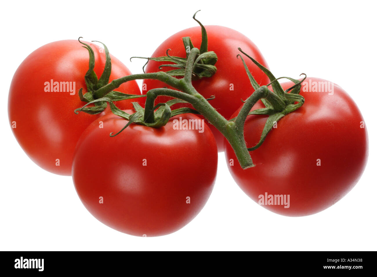 Vine ripened tomatoes Stock Photo Alamy