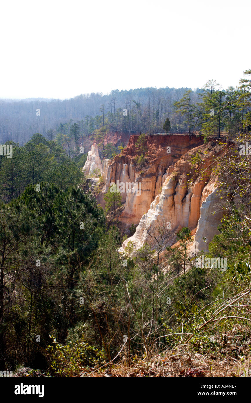 Georgia's Grand Canyon: A Breathtaking Escape at Providence Canyon State Park
