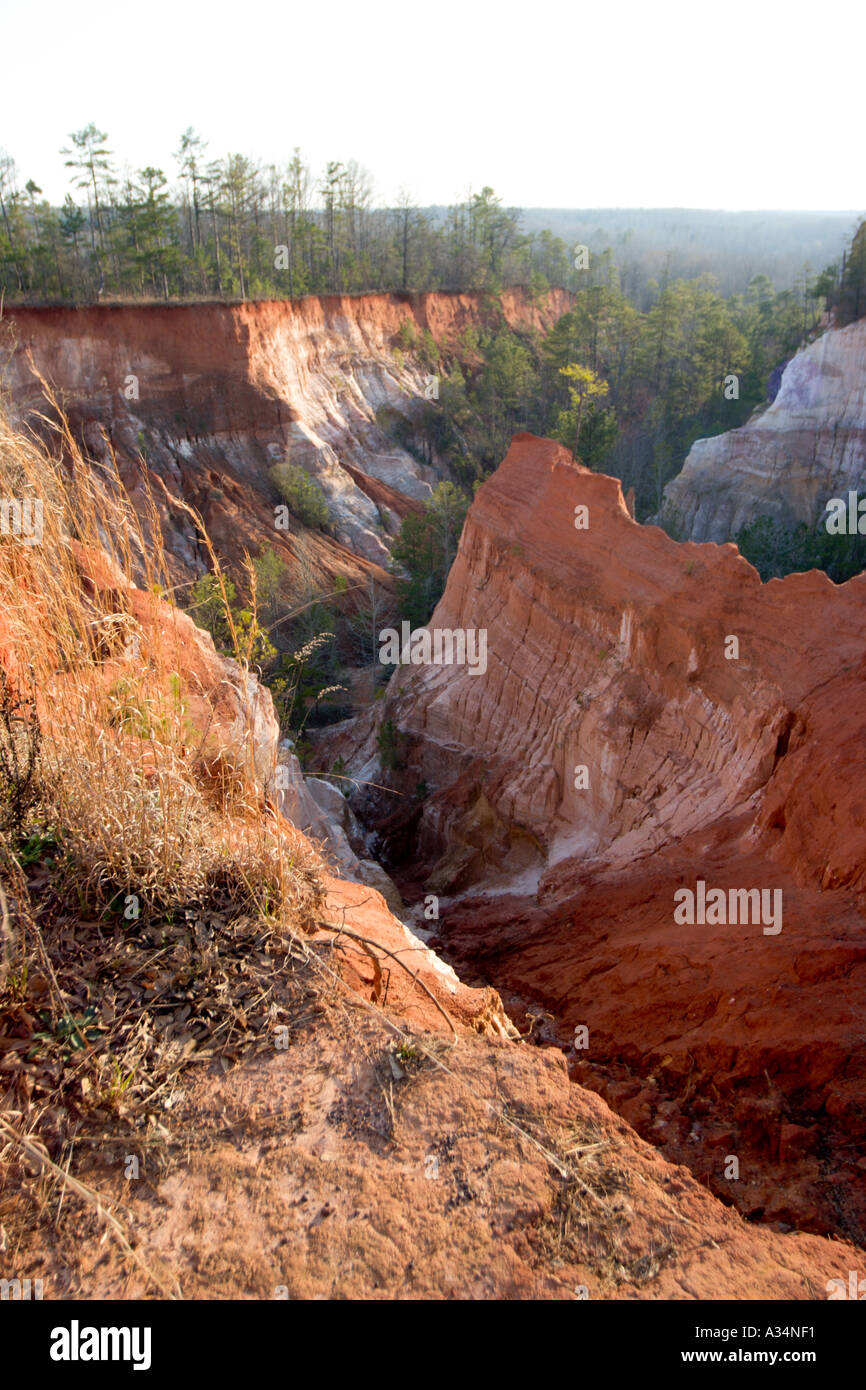 s Little Grand Canyon in Providence Canyon State Park in South