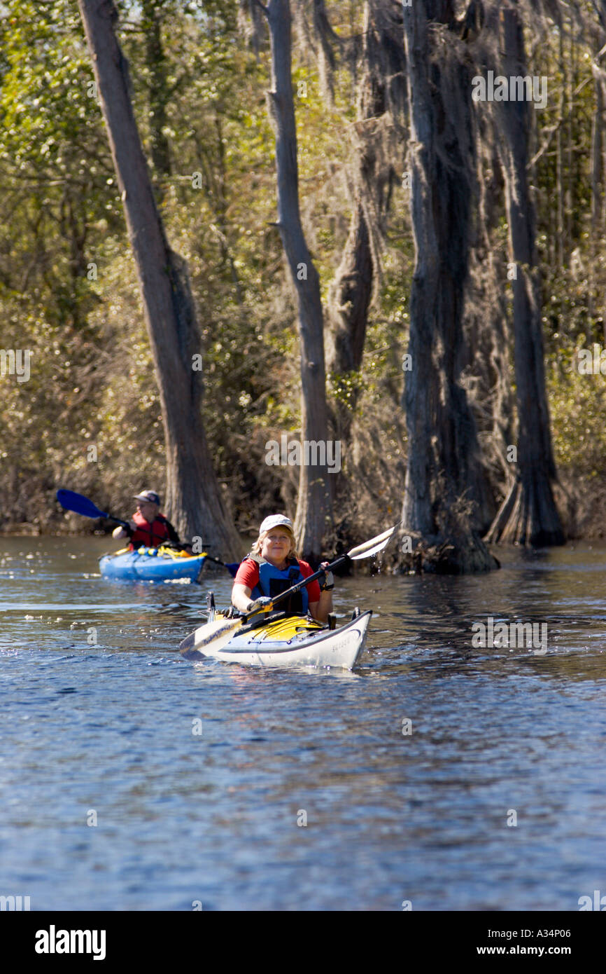 Okefenokee swamp ga hires stock photography and images Alamy
