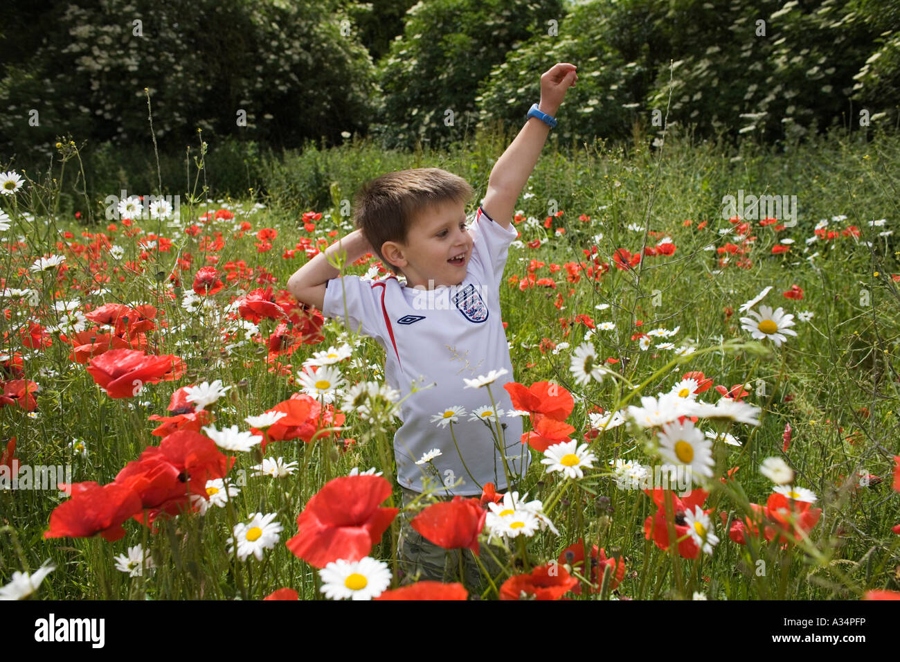 Boy standing in a field of wildflowers, Gloucestershire, UK Stock Photo ...