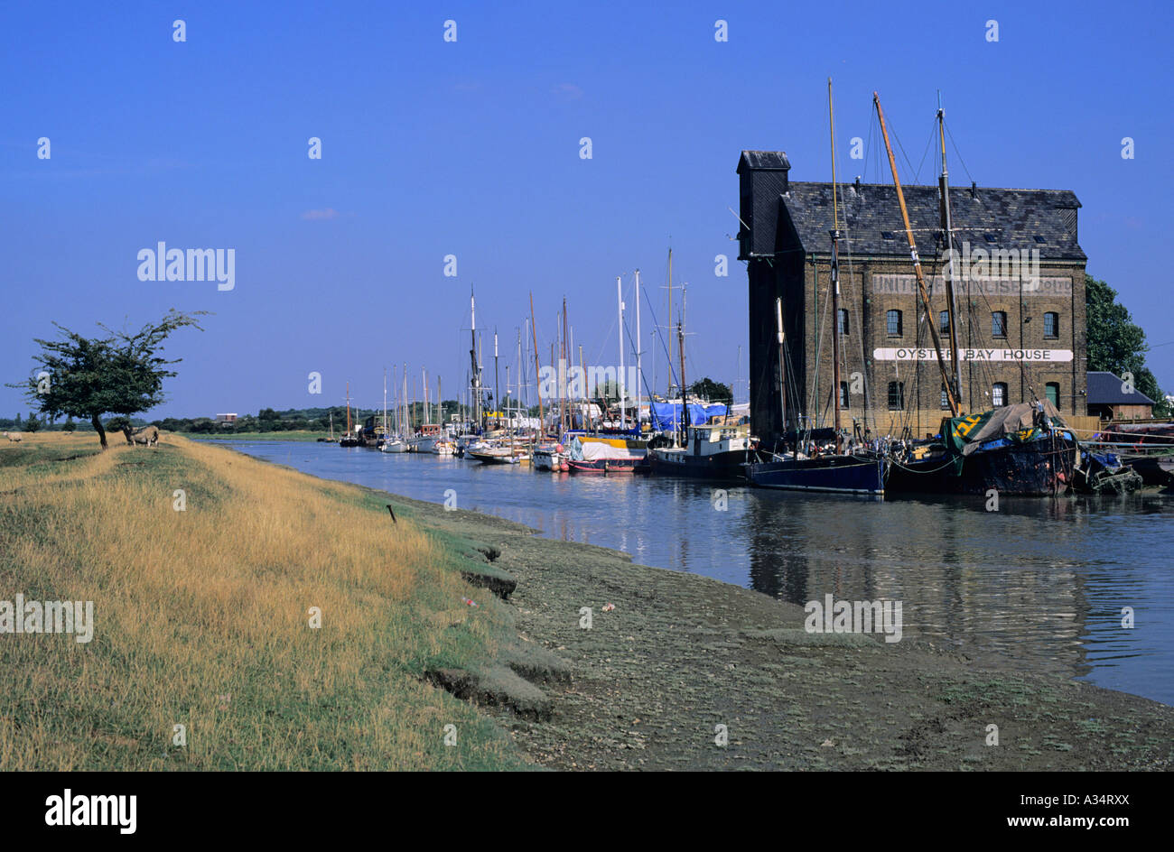 Oyster Bay House, Faversham, Kent, UK Stock Photo Alamy