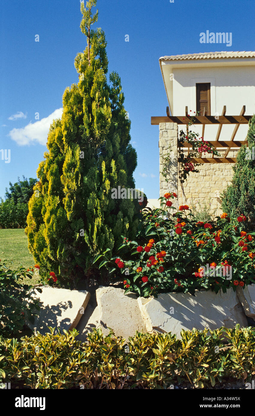 Detail of a landscaped front garden of a new small villa in the modern 'Aphrodite Hills' village Cyprus EU Stock Photo