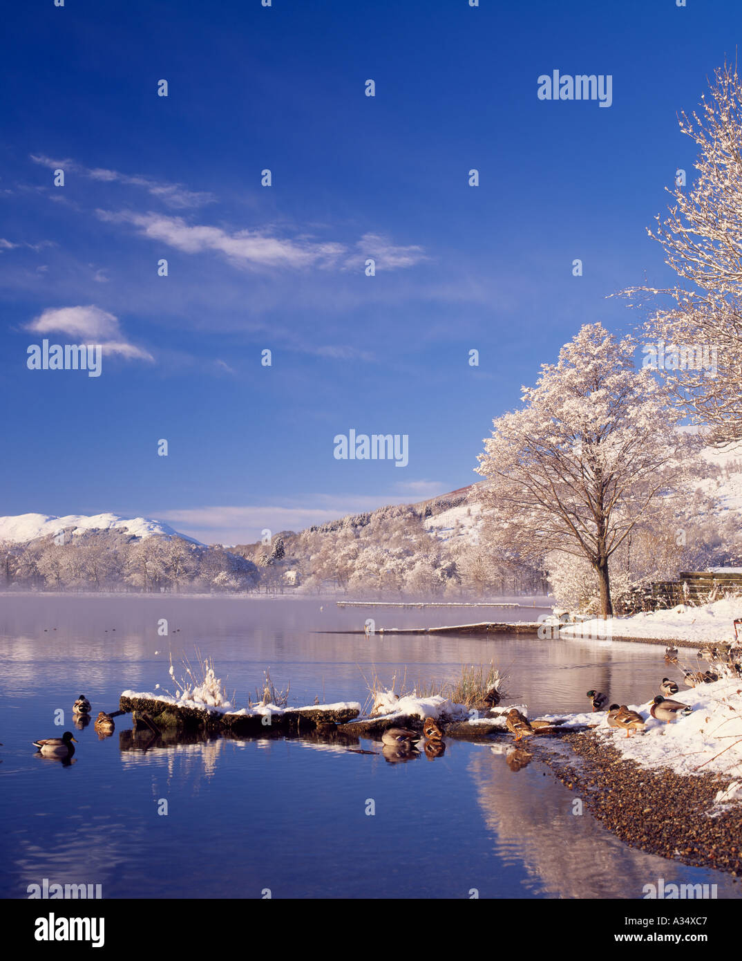 Loch Earn, Lochearnhead, Stirling, Scotland, UK Stock Photo Alamy