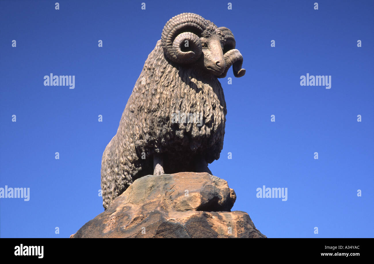 Moffat ram hi-res stock photography and images - Alamy